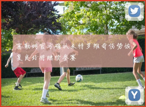 富勒姆官方确认米特罗维奇伤势恢复良好将继续参赛